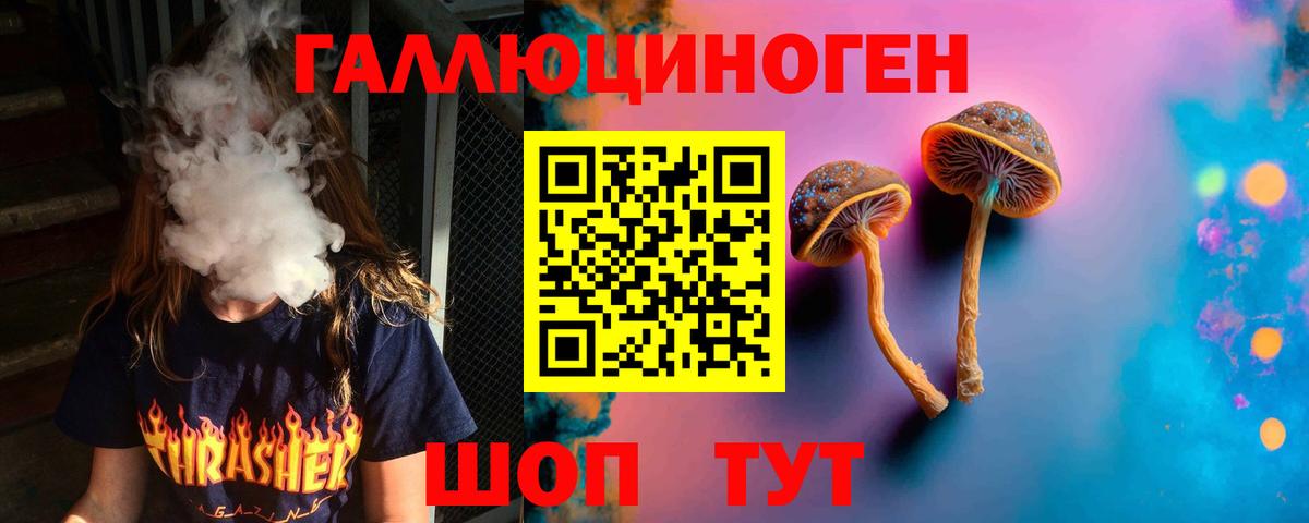 Омск  Псилоцибиновые грибы мицелий  Вход с VPN  Псилоцибиновые грибы мицелий 